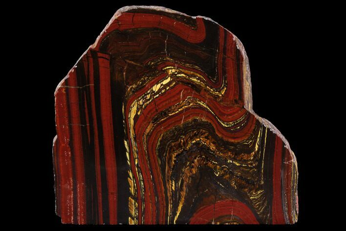 Polished Tiger Iron Stromatolite - ( Billion Years) #96224